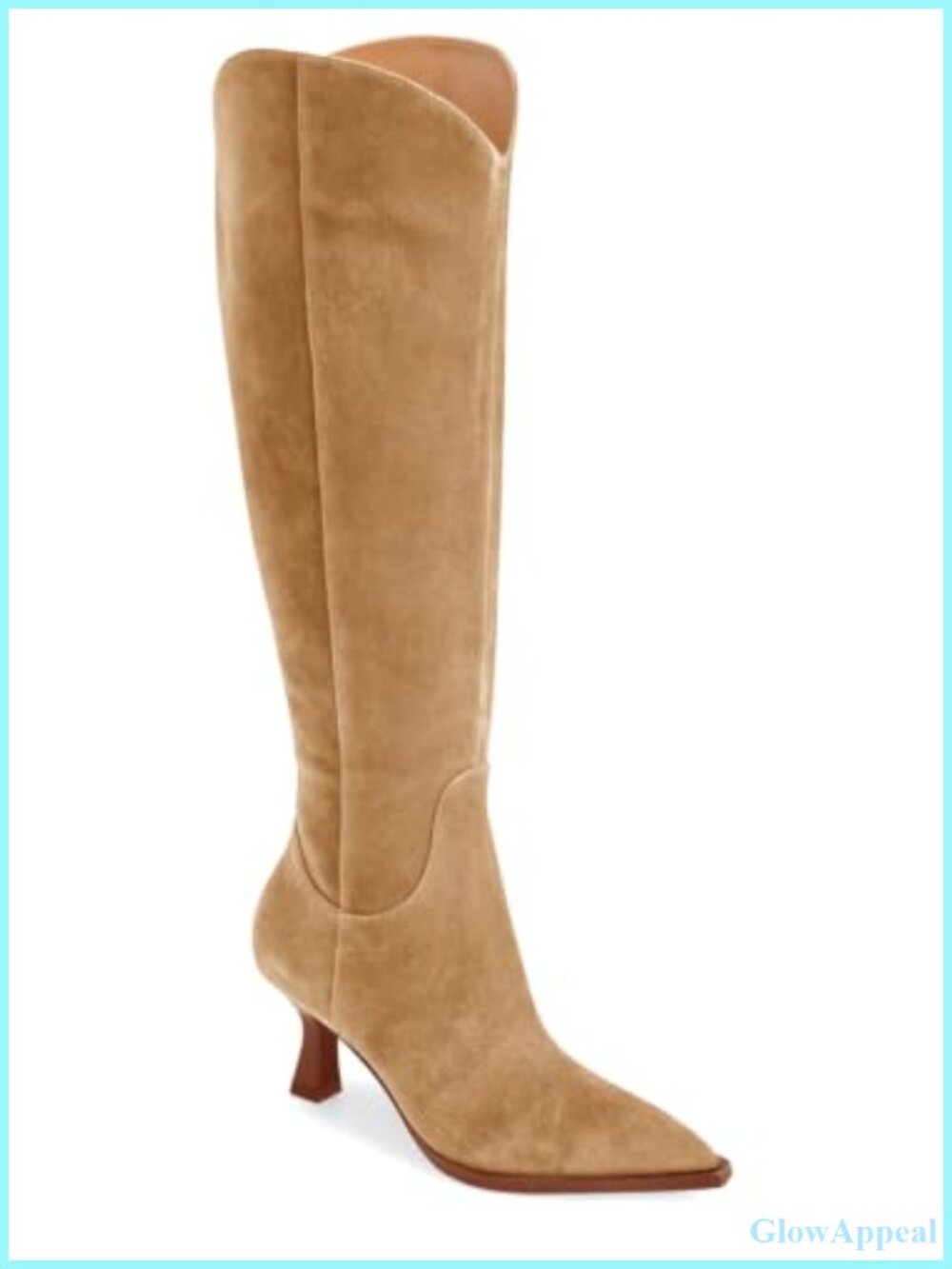 Women's Wide Calf Knee High Boots Kitten Heel Pointed Toe Tall Boots Side Zipper